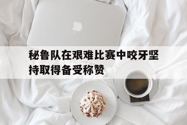 关于秘鲁队在艰难比赛中咬牙坚持取得备受称赞的信息
