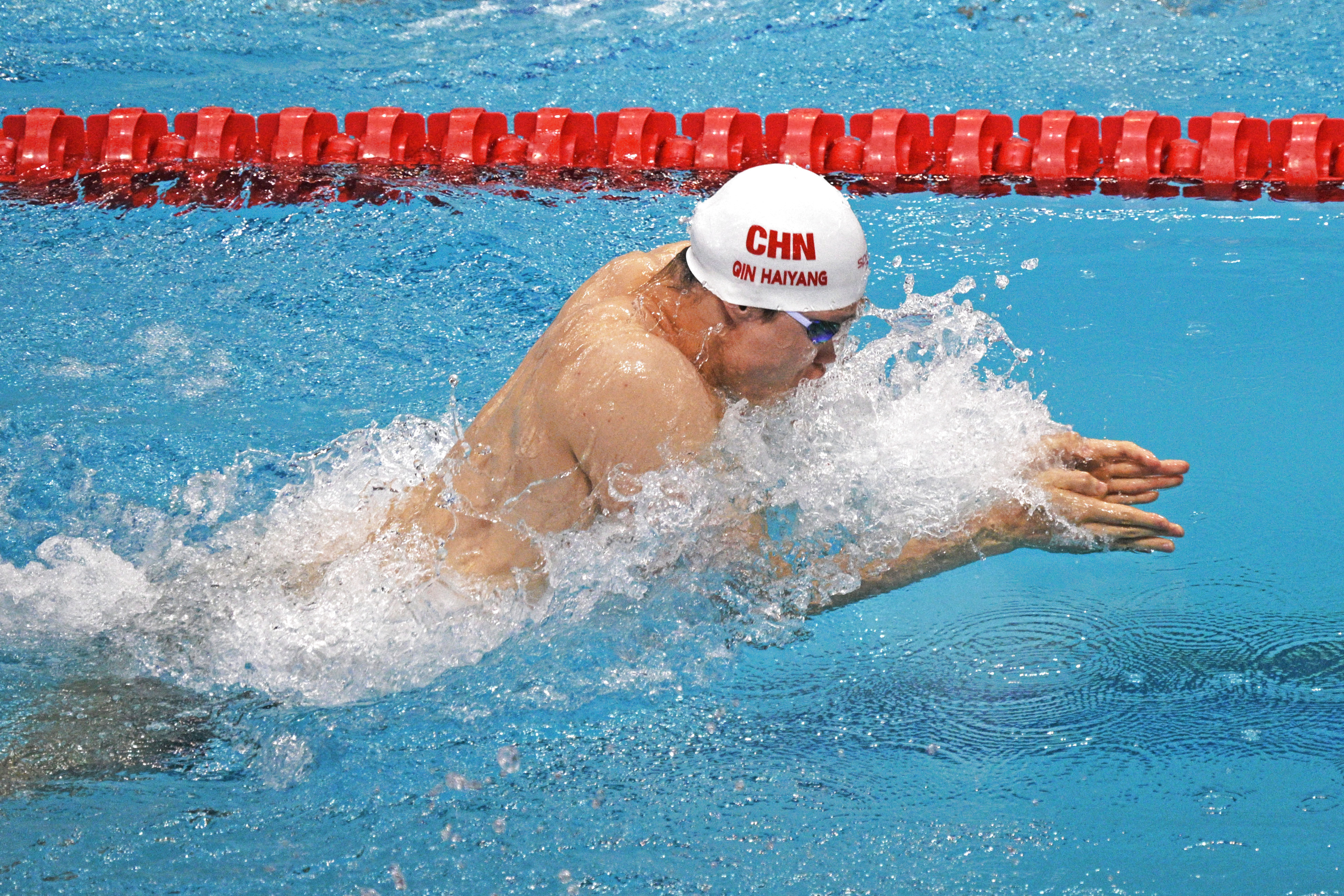 包含游泳冠军以巅峰表现,取得胜利的词条 包含游泳冠军以巅峰表现,取得胜利的词条