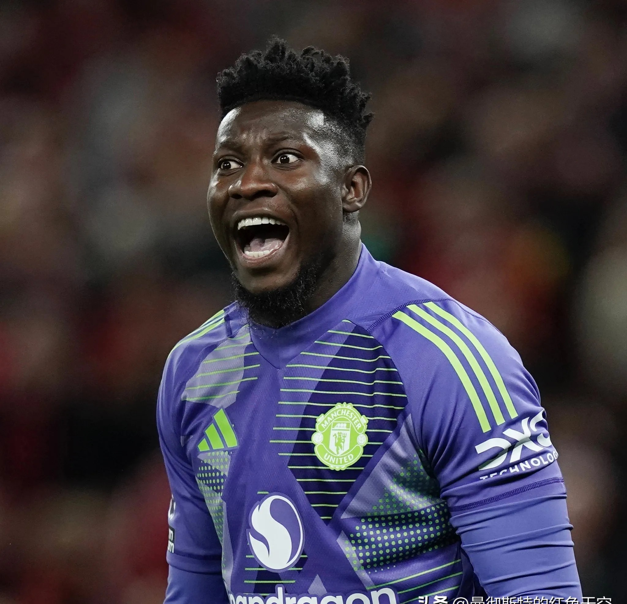 曼联主教练发表感言,呼吁全队团结 曼联主教练发表感言,呼吁全队团结