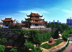 湖南海霸王豪取比赛胜利，走向顶峰的简单介绍